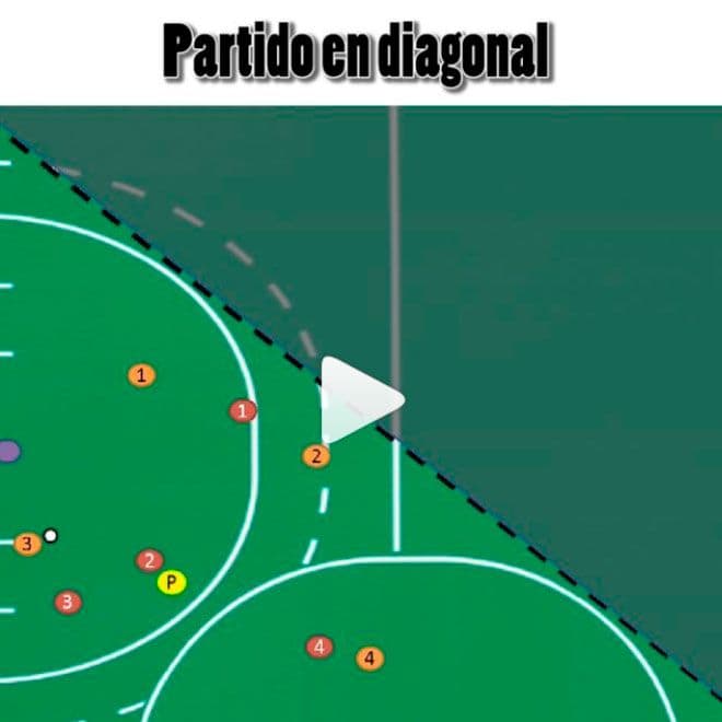 Partido en diagonal