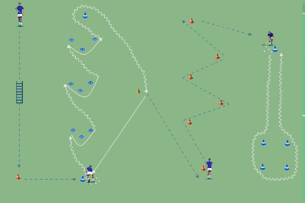Circuito de coordinación y conducción