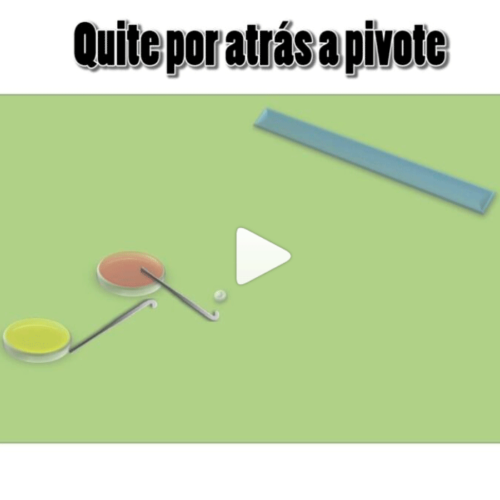 Técnica de quite por atrás o shave