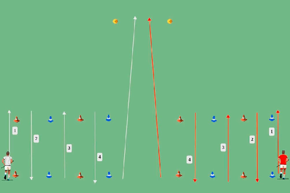 Carrera de coordinación